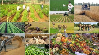 What is the future for Turkey’s agriculture sector ?   -  Article