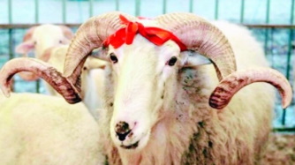 Eid al-Adha (Feast of Sacrifice) holiday starts on August 10th Eid al-Adha (Feast of Sacrifice) holiday starts on August 10th